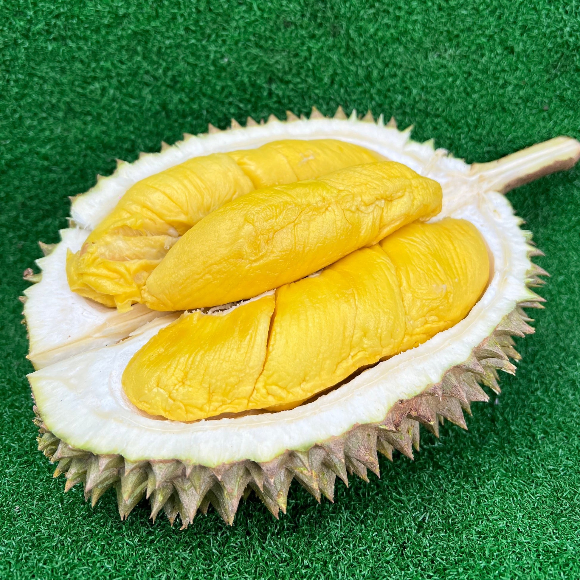 SYR Blackgold Durian
