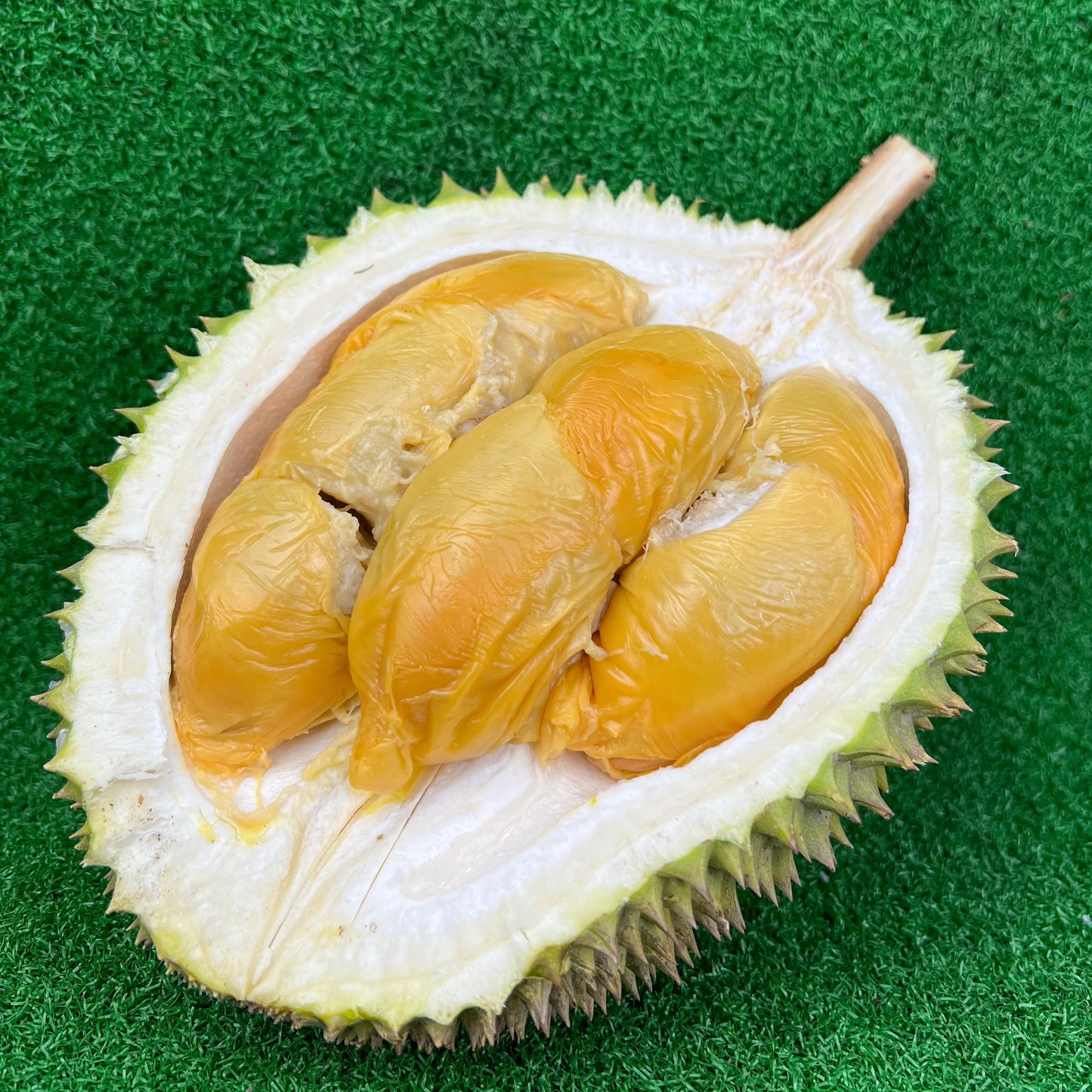 Red Prawn D13 Durian Johor | 500g