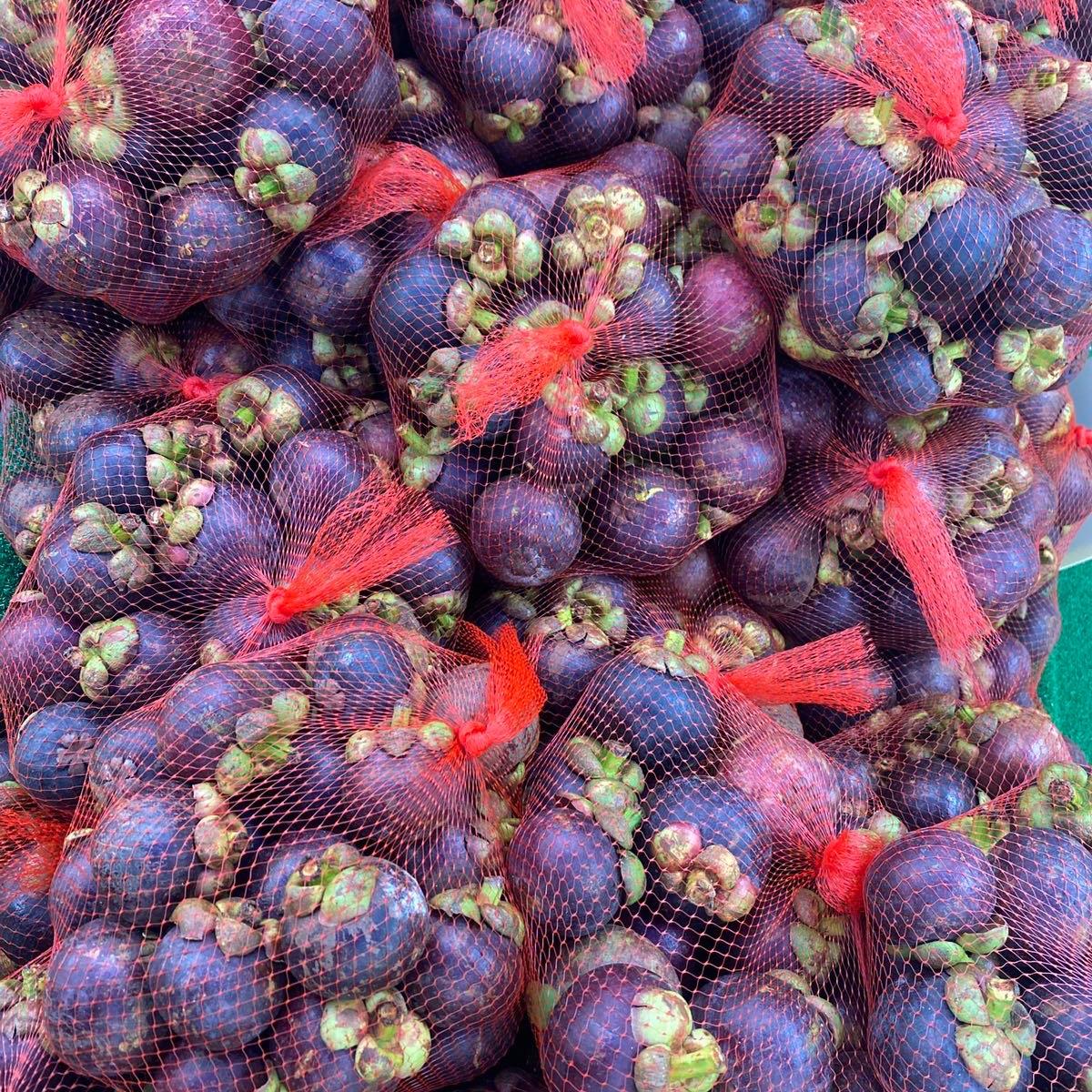 Seasonal | Pahang - Japan Variation Mangosteen 2kg/bag