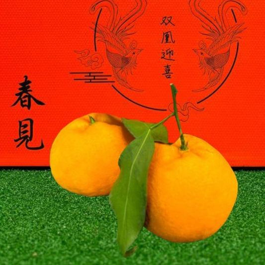 Chun Jian 'Pa Pa Gan' Mandarin Oranges (10-11pcs/3.7kg)