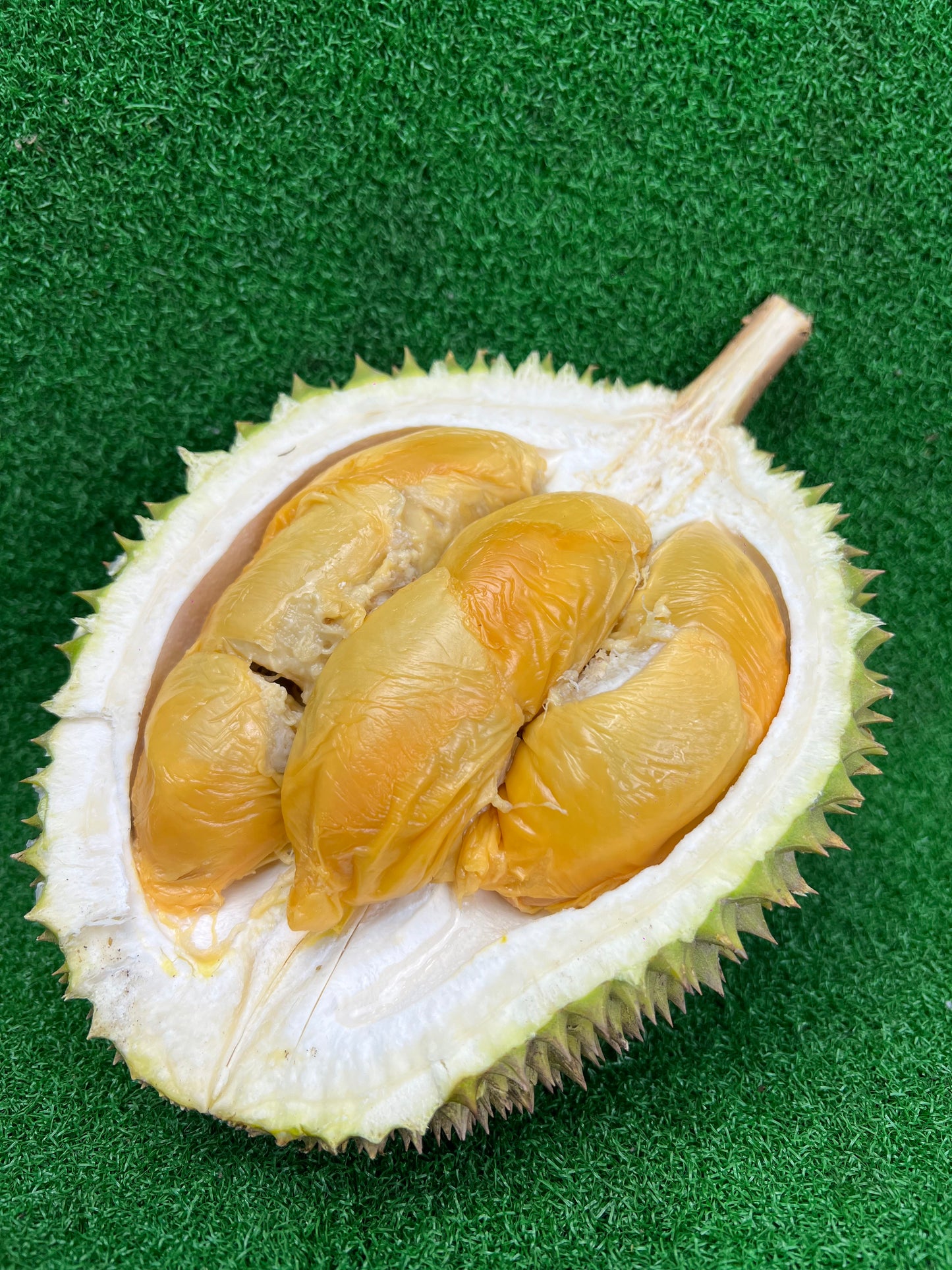 Red Prawn D13 Durian Johor | 500g