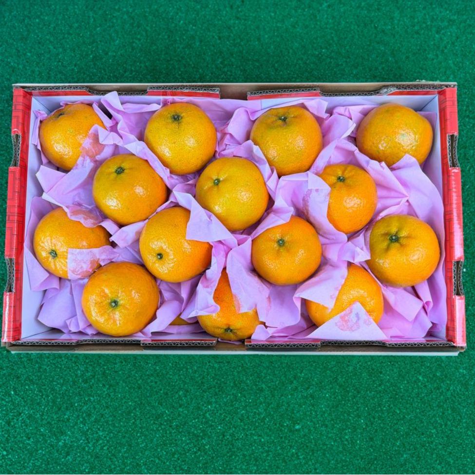 Long Men JIAOKAN Mandarin Oranges