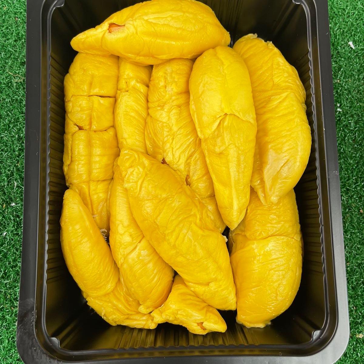 Black Gold Old Tree Musang King | Pahang 750g