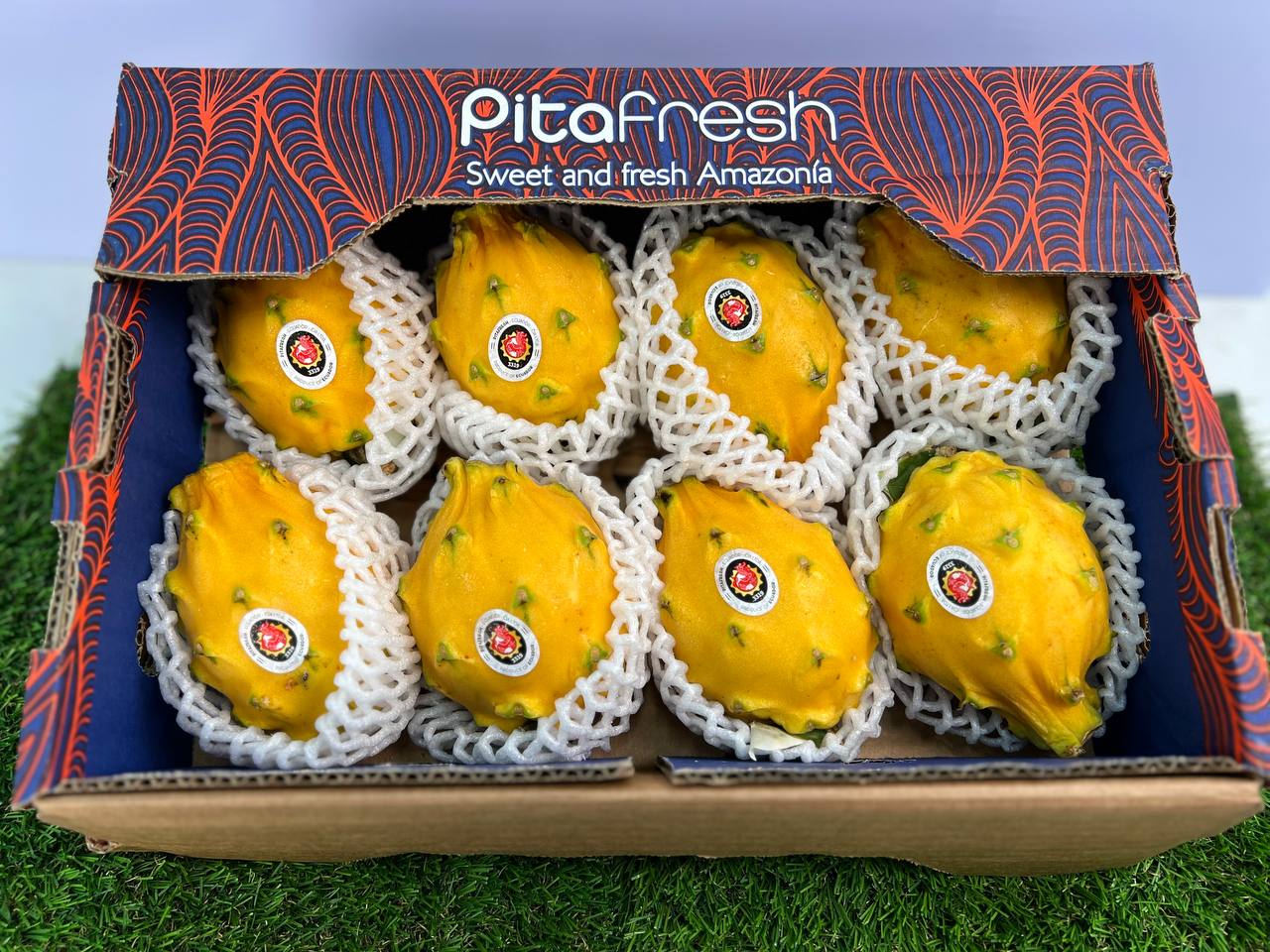 Seasonal | Ecuador Golden Dragon Fruit Natural (1 box/ 8pcs)