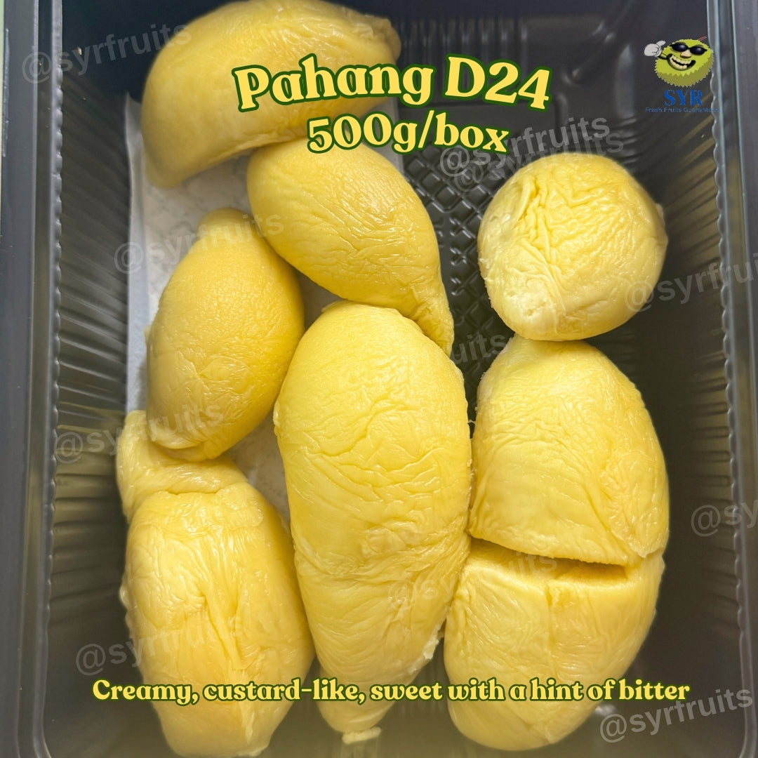 Pahang D24 durian Singapore 