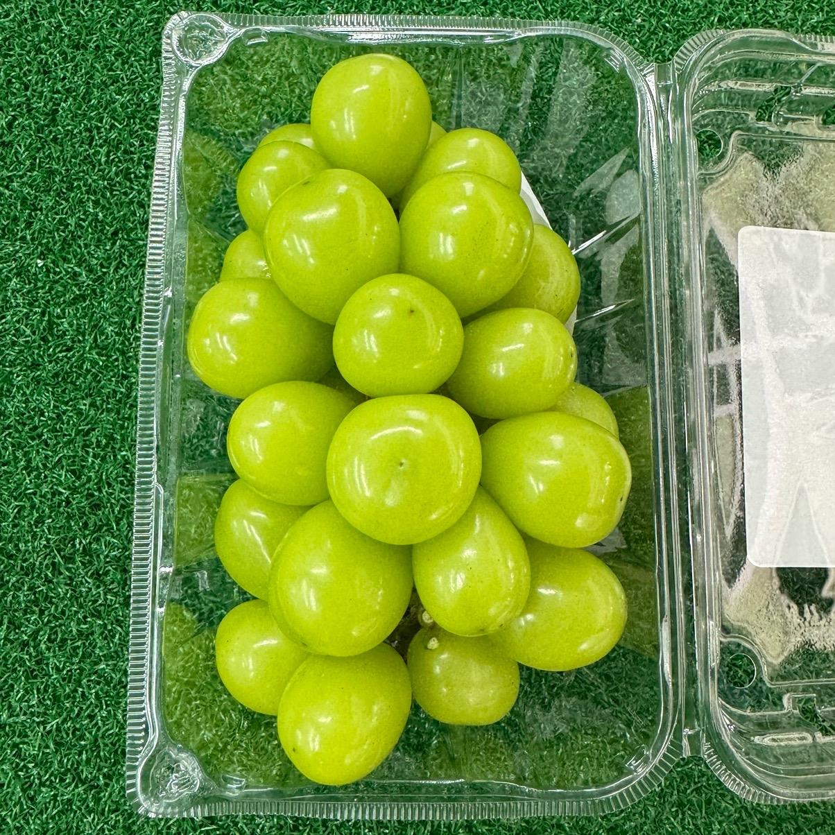 China Shine Muscat Seedless Grapes 500g+/-