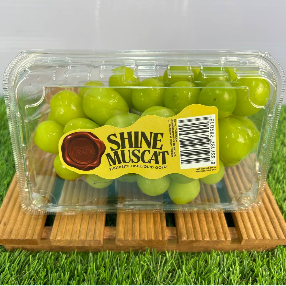 China Shine Muscat Seedless Grapes 500g+/-