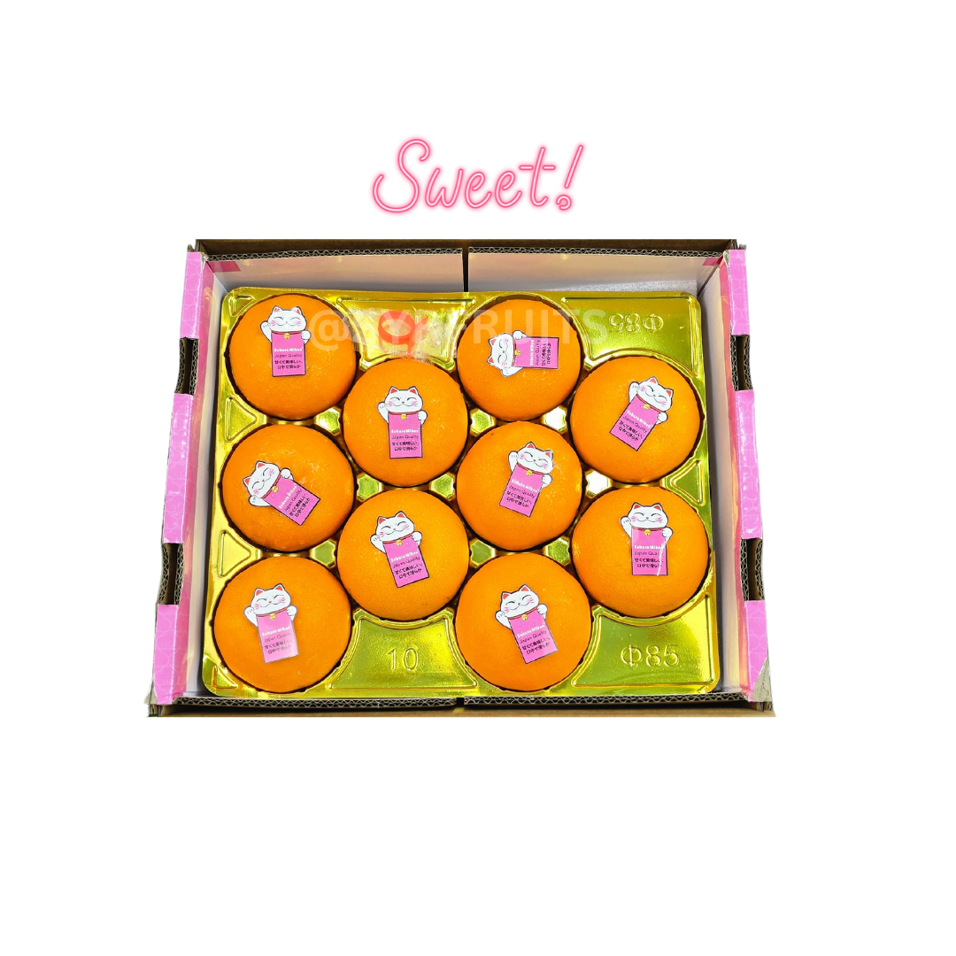 SYR | Sakura Mikan Mandarin Orange 10pc Carton (XL)