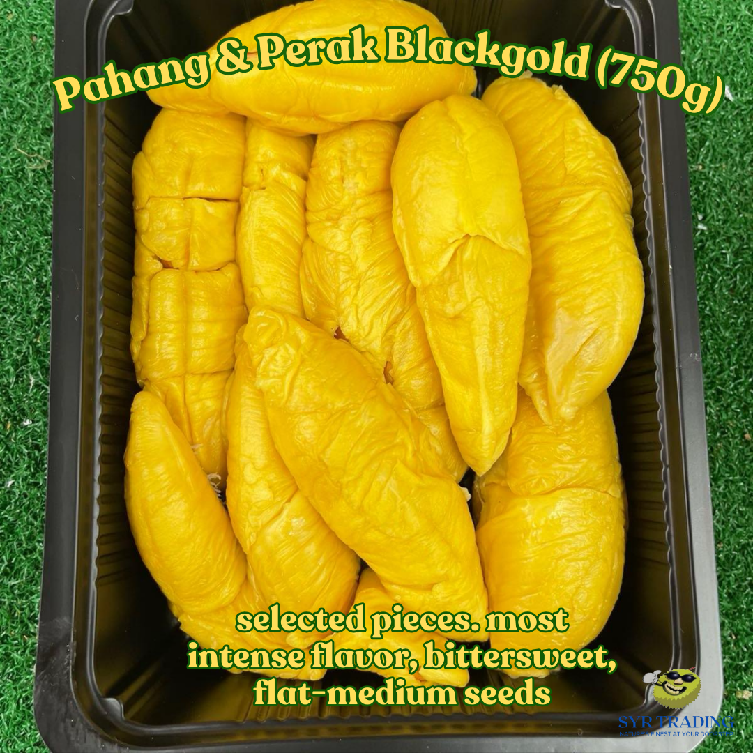 Black Gold Old Tree Musang King | Pahang 750g